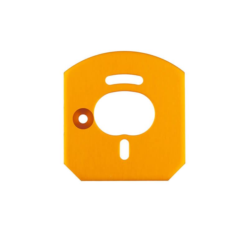 Team Associated 6X6 Motor Mount Plate, Gold