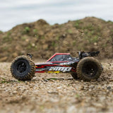 ECX AMP DB 1:10 2WD Desert Buggy:Black/Yellow RTR INT (ECX03029IT1)