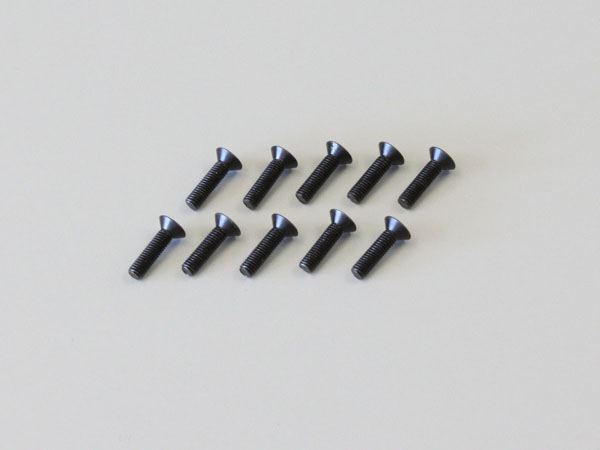 Hex Flat Head Screws 3X12Mm (10)