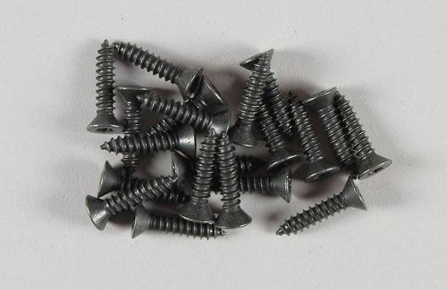 FG Modellsport Csk Tp Screw + Torx 4.2x19 (Pk20)