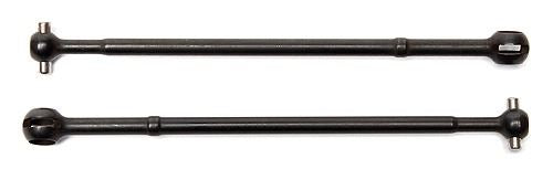 ASSOCIATED CVA BONE T5M