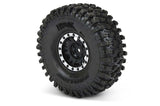 PROLINE HYRAX 1.9  PREDATOR ON IMPULSE BLK/SILV B/LOCK WHEELS