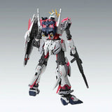 Bandai Hobby Mg 1/100 Narrative Gundam C-Packs Version Ka