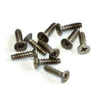 FTX Punisher Screws F.H. M4X16 (10)