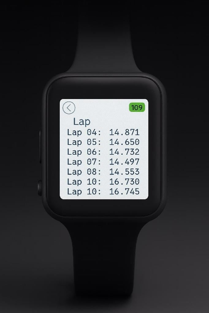 Iwi Pit Watch