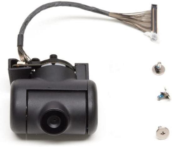 DJI Inspire 2 FPV Gimbal Camera (Part 13)