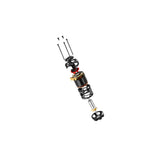 XERUN - D10 - 13.5T - Black - BL - Motor