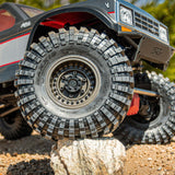 Proline 1/6 Black Rhino Armory Alum 2.9In Dual Offset Scx6 Wheels (2)