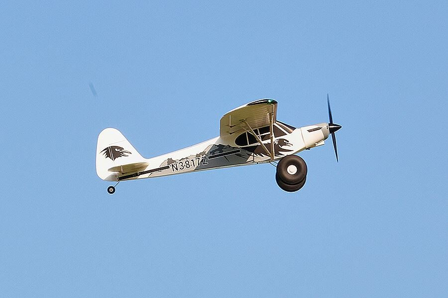 Fms 1300Mm Pa-18 Rtf With Reflex V3