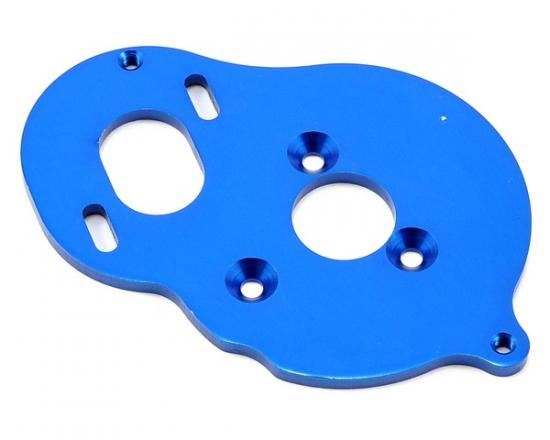 ASSOCIATED MOTOR PLATE (BLUE) B5/B5M