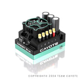 Cayote Racing Crest 8 Evo 1/8Th Competition Esc