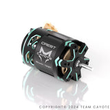 Cayote Crest 1/10  Stock Motor 13.5T