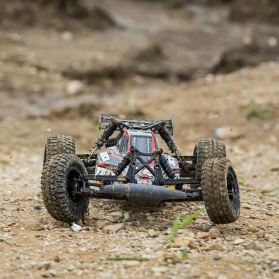 ECX AMP DB 1:10 2WD Desert Buggy:Black/Yellow RTR INT (ECX03029IT1)