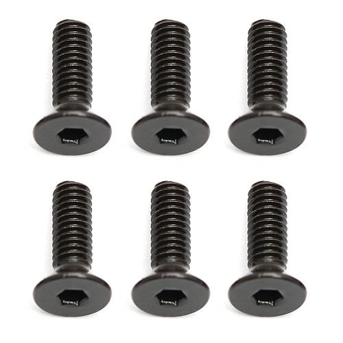 TEAM ASSOCIATED QUALIFIER APEX 2.5 x 8MM FHCS (10)