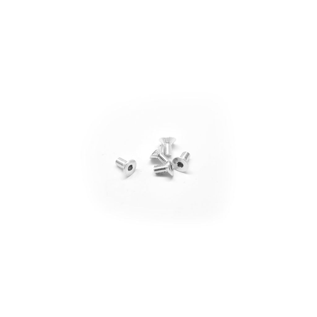 Alu Screw Allen Csk M3 x 6 Silver (5)