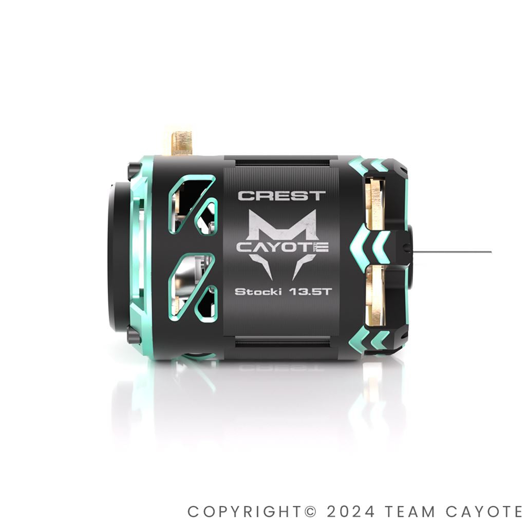 Cayote Crest 1/10  Stock Motor 21.5T