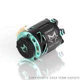 Cayote Crest 1/10  Stock Motor 25.5T