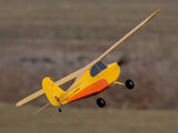 Hobbyzone Champ Anniversary Special Edition 515Mm Bnf Basic With Safe