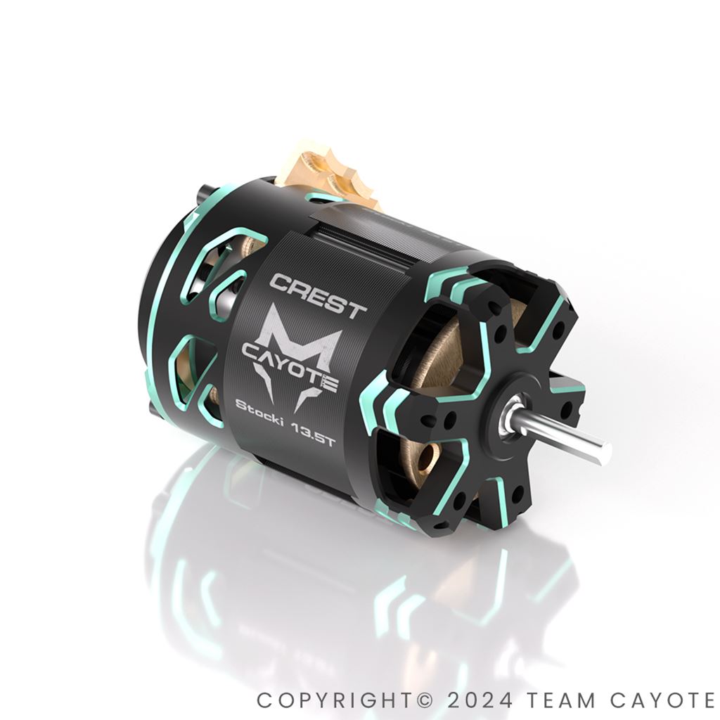 Cayote Crest 1/10  Stock Motor 21.5T