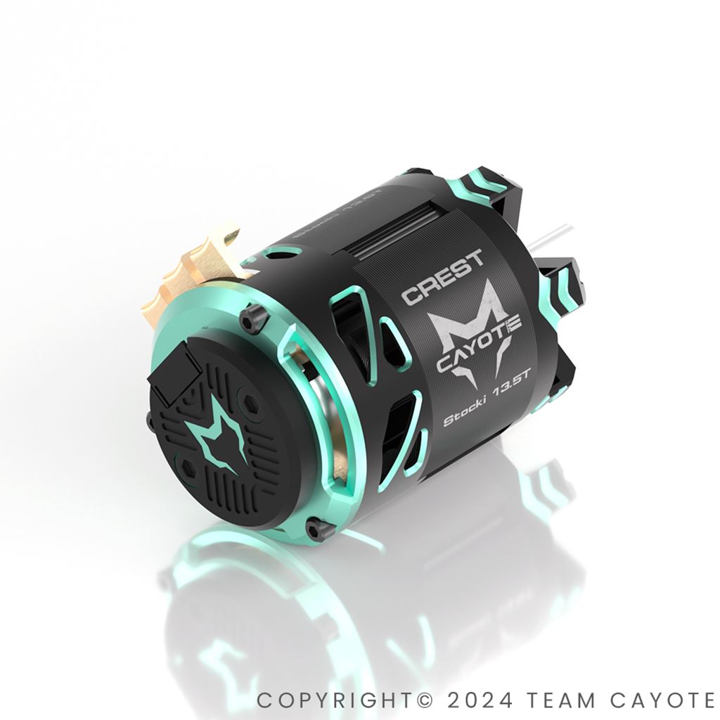 Cayote Crest 1/10  Stock Motor 21.5T