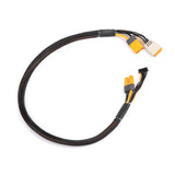 Spektrum Charge Lead With Balance Extension 24In Ic5, 2-4S
