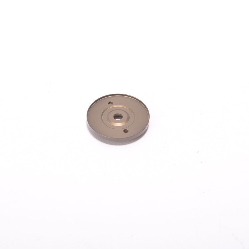 Slipper Thrust Plate - C2W