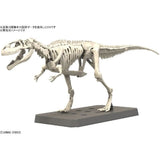 Bandai Hobby Plannosaurus Giganotosaurus