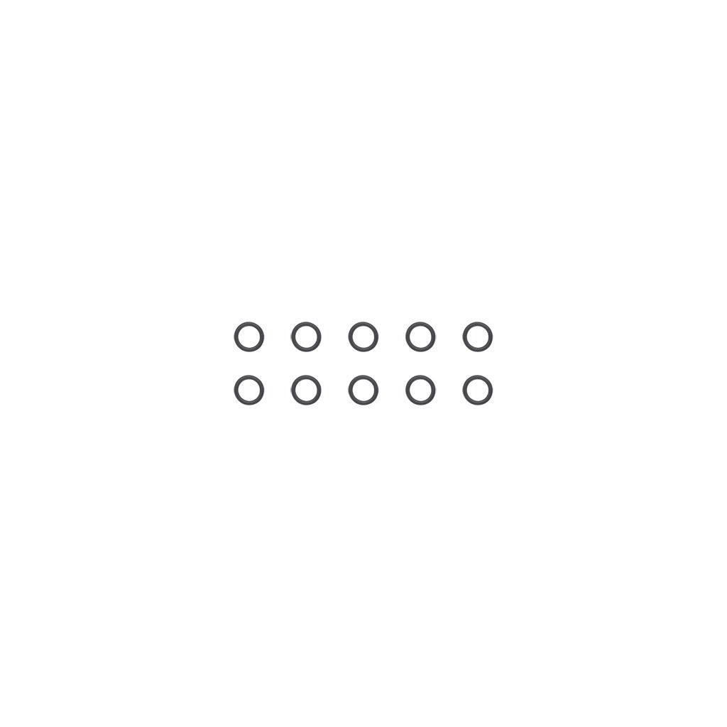O-Ring 4.5 x 1 (10)